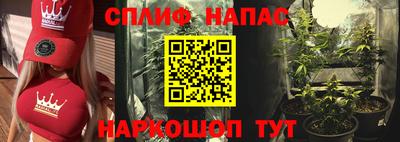 МДПВ Камышлов