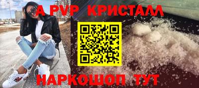 МДПВ Камышлов