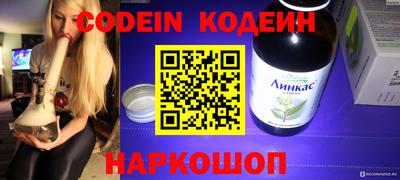 МДПВ Камышлов