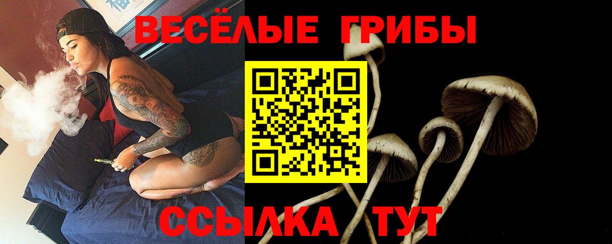 Псилоцибиновые грибы GOLDEN TEACHER Томск